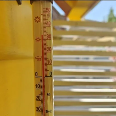Pietrowe Klif 5os,duze Tarasy Dzika Plaza Laka Bociek Szlaki Rowerowe Pieski Male 30zldzien