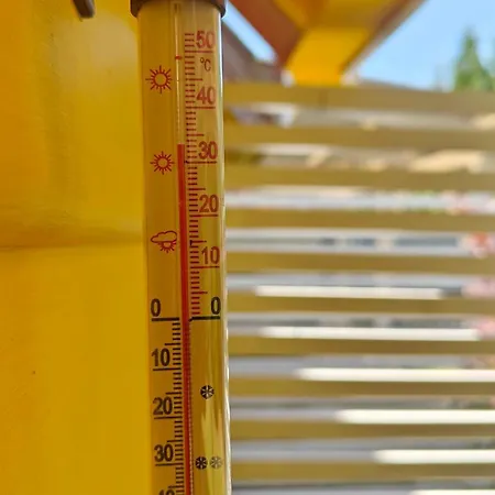 Pietrowe Klif 5os,duze Tarasy Dzika Plaza Laka Bociek Szlaki Rowerowe Pieski Male 30zldzien 롯지 *