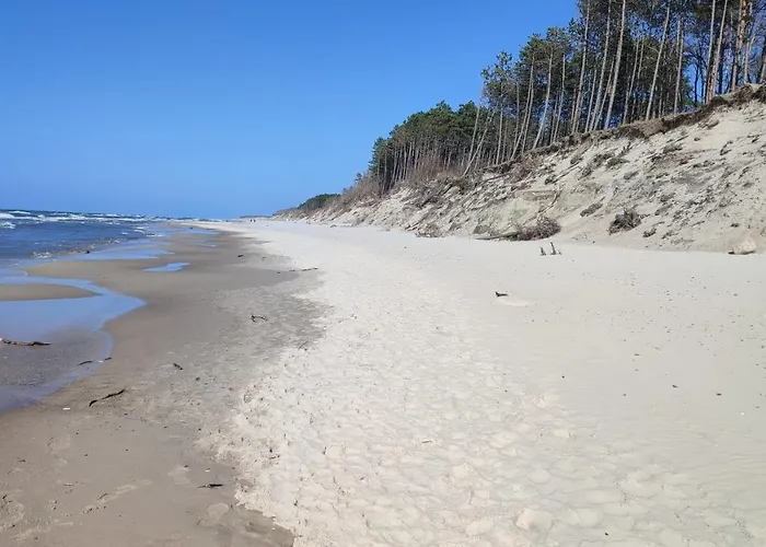 Lodge Pietrowe Klif 6os,duze Tarasy Dzika Plaza Laka Bociek Cisza Szlaki Rowerowe Pieski 25zldzien